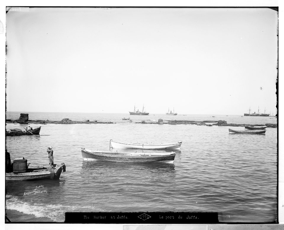 Jaffa (Joppa) and environs. The harbor LOC matpc.06517