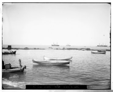 Jaffa (Joppa) and environs. The harbor LOC matpc.06517