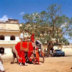 Jacqueline Kennedy rides an elephant in India
