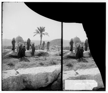 Jaffa to Jerusalem. Zorah (Sar'a) the home of Samson LOC matpc.00837