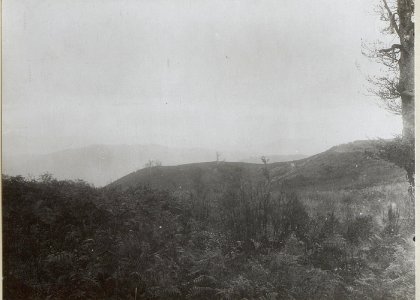 Jagodnja und Kuppe westlich davon aufgenommen von der Höhe der Jagodnja V.Ort der Batteriestellung SO. (BildID 15660712)