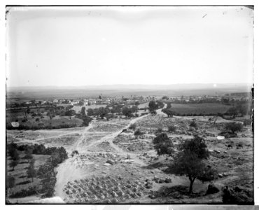 Jaffa (Joppa) and environs. General view of Ramleh (Arimathea) LOC matpc.06529