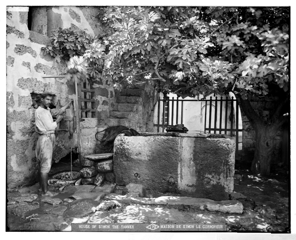 Jaffa (Joppa) and environs. House of Simon the Tanner LOC matpc.06523