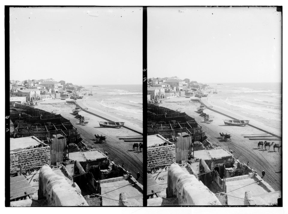Jaffa (Joppa) and environs. Jaffa from house of Simon the Tanner LOC matpc.04983
