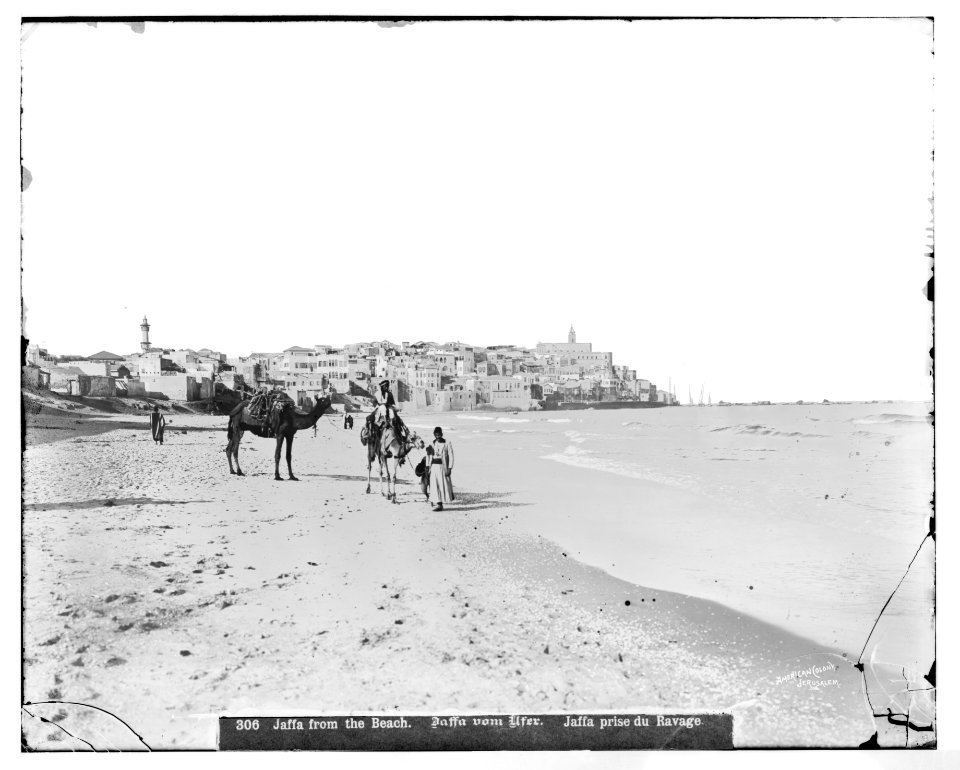 Jaffa (Joppa) and environs. Jaffa from the north beach LOC matpc.06519