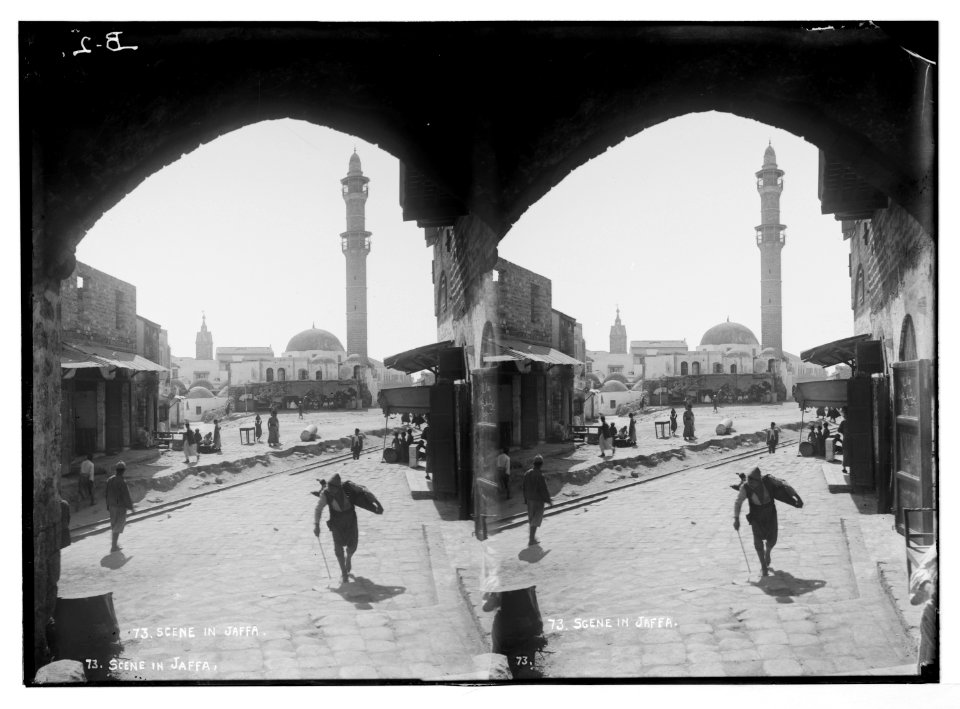Jaffa (Joppa) and environs. Mosque at Jaffa LOC matpc.05423