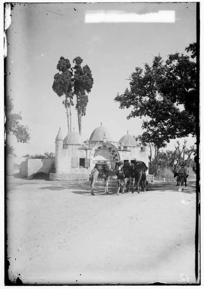 Jaffa (Joppa) and environs. Tabitha's Well LOC matpc.00005