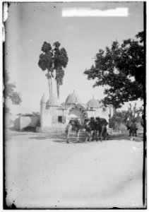 Jaffa (Joppa) and environs. Tabitha's Well LOC matpc.00005