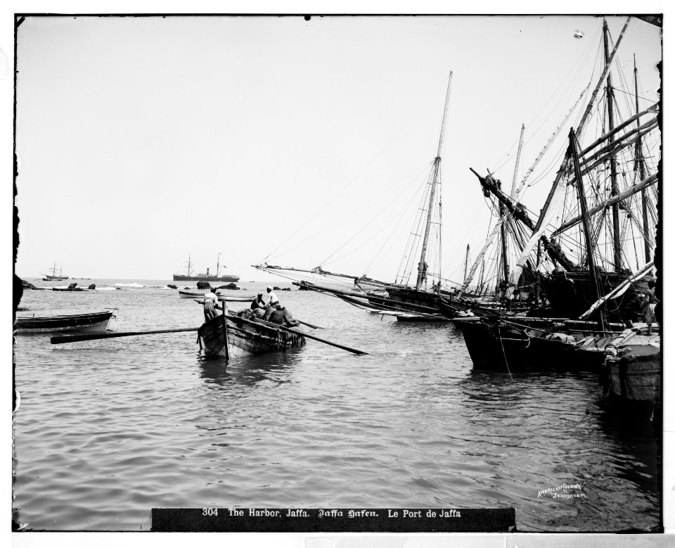 Jaffa (Joppa) and environs. The harbor LOC matpc.06516