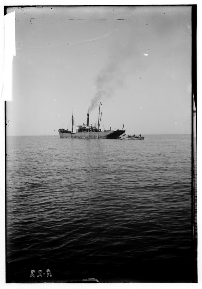 Jaffa orange culture. Orange-laden steamer off for Liverpool LOC matpc.00686
