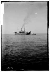 Jaffa orange culture. Orange-laden steamer off for Liverpool LOC matpc.00686