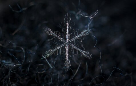 Macro snow wool
