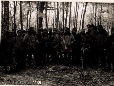 Jagdaufnahme Sasowa Wola. (BildID 15708938)