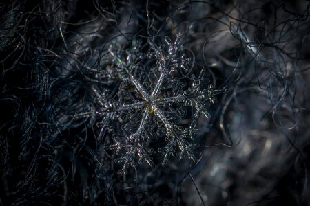 Macro snow wool