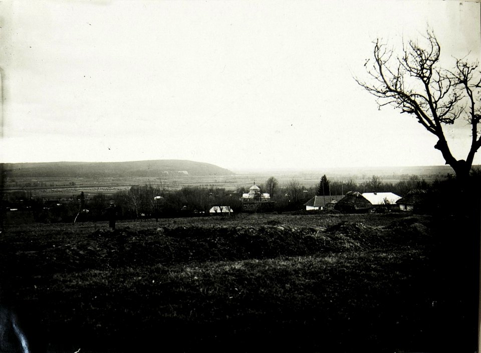 Krylos, Blick gegen Westen. (BildID 15591524)