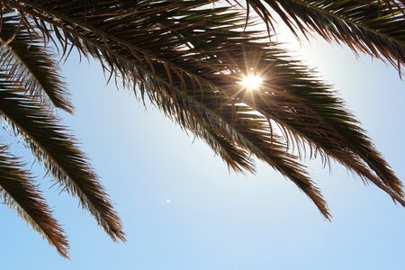 Summer sky idyllic