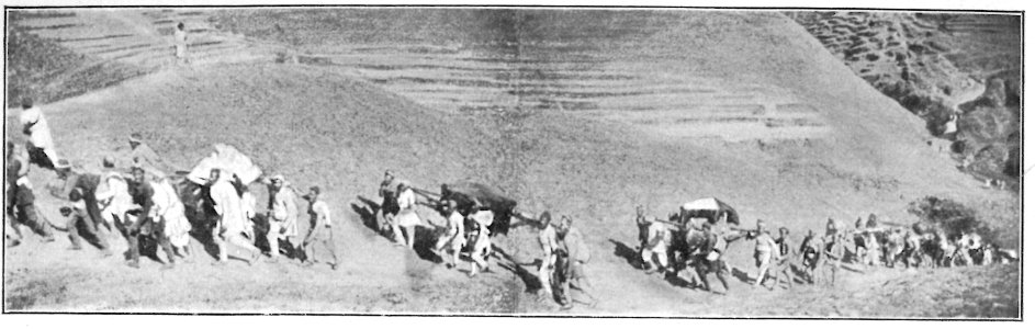 Kurt boeck indien nepal 244A