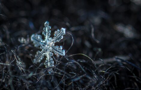 Macro snow wool