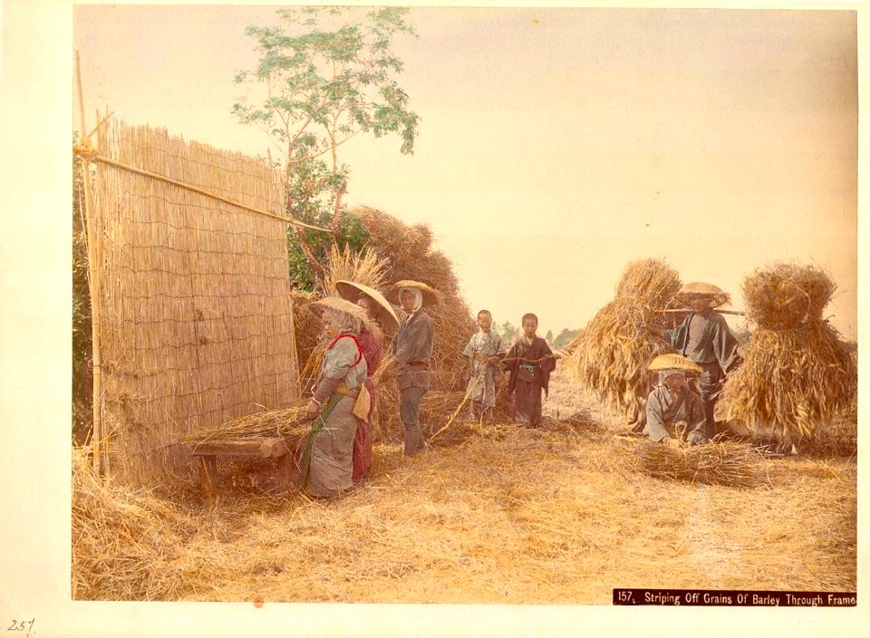 Kusakabe Kimbei - 157 Stripping Off Grains of Barley Through Frame