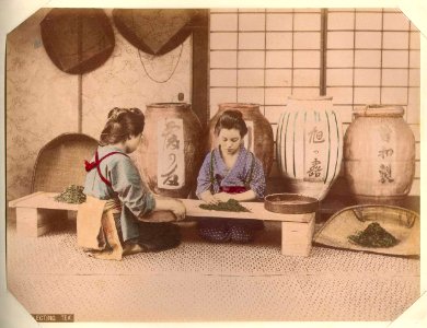 Kusakabe Kimbei - 396 Selecting Tea
