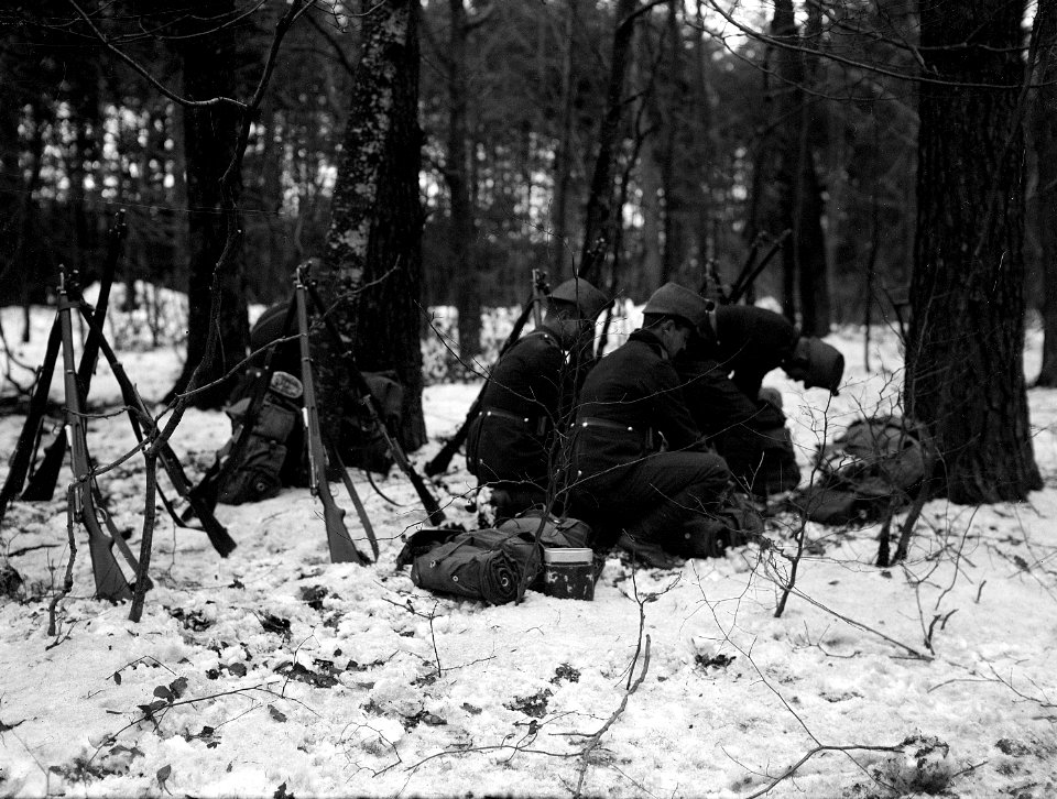 Kurzer Halt im Wald - CH-BAR - 3236718
