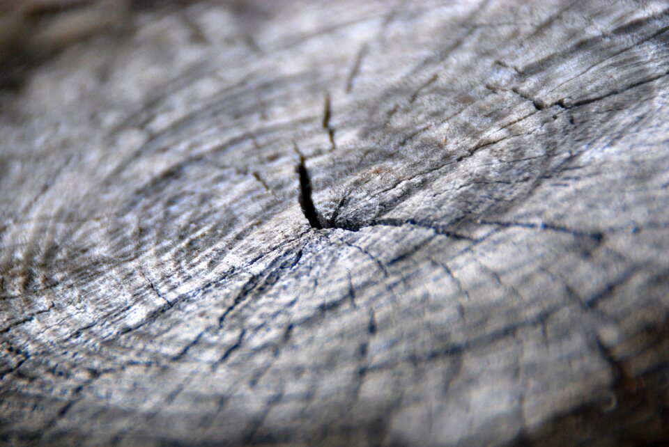 Material pattern nature