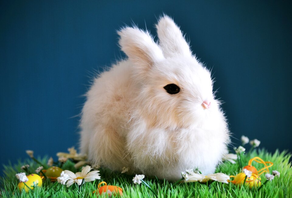 Easter spring white