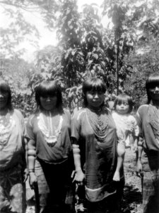 Kuna-kvinnor. Märk de med glaspärlor hårt ombundna armarna. Rio Caimanes. Colombia - SMVK - 004460