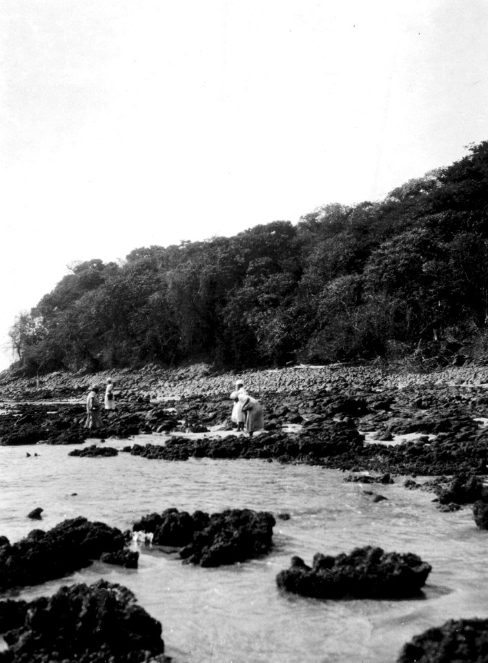 Kvinnor samlar pärlmusslor vid ebb. Pearl Islands. Panama - SMVK - 004168