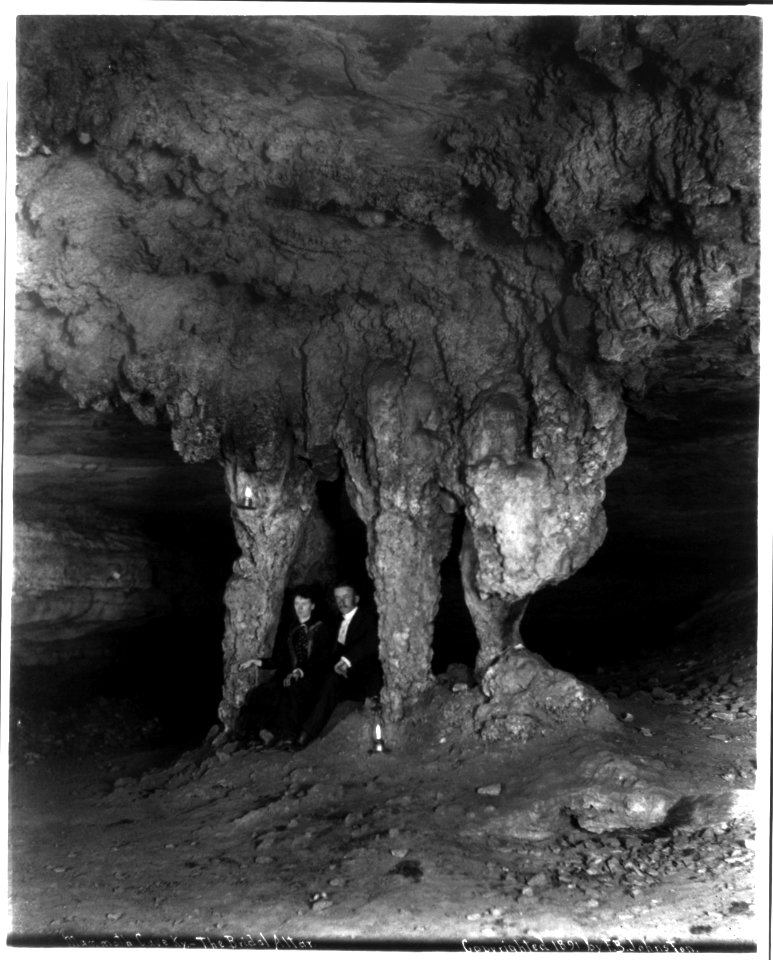 Ky. - Mammoth Cave- The Bridal Altar (stalactites) LCCN2006689788