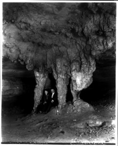 Ky. - Mammoth Cave- The Bridal Altar (stalactites) LCCN2006689788