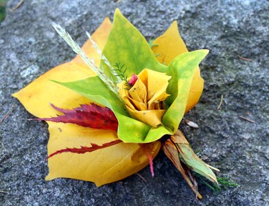 Foliage composition nature