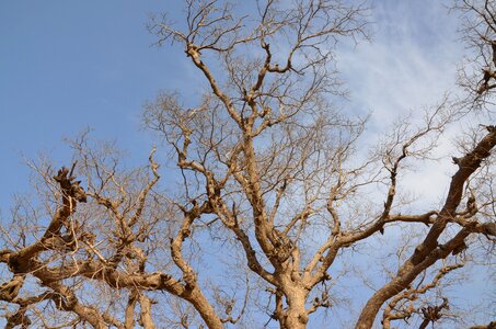Nature landscape season