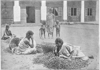 Kurt boeck indien nepal 020