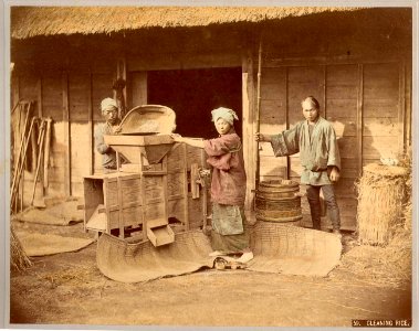 Kusakabe Kimbei - 59 Cleaning Rice photo