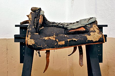 Kusksadel - Livrustkammaren - 8492