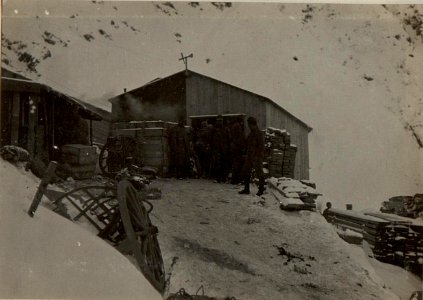 Köderköpfe, untere Seilbahnstation bei + 1261. (BildID 15471513)