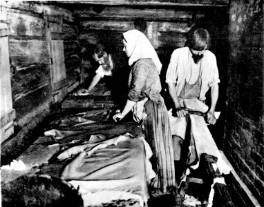 Kustari 089 Otdelka belogo opojka