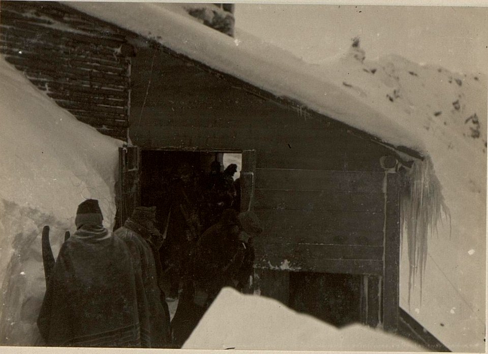 Köderköpfe obere Seilbahnstation bei + 2176. (BildID 15471527)