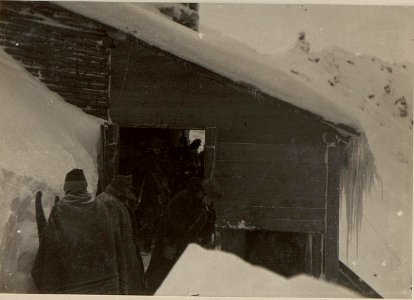 Köderköpfe obere Seilbahnstation bei + 2176. (BildID 15471527)
