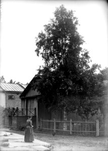 Kuva huviloiden Itäinen Kaivopuisto 19 ja 14 (Itäinen Puistotie 8, Kalliolinnantie 7, 5) pihapiiristä - N1241 (hkm.HKMS000005-km0000mi1k)