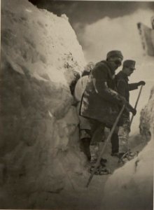 Köderköpfe, Kote 2176. Schützengraben. (BildID 15471569)