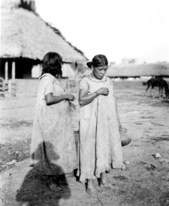 Kvinliga vattenbärerskor. Sydamerika. Bolivia - SMVK - 005602