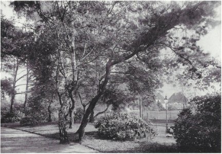 Köln Südpark 1910 photo