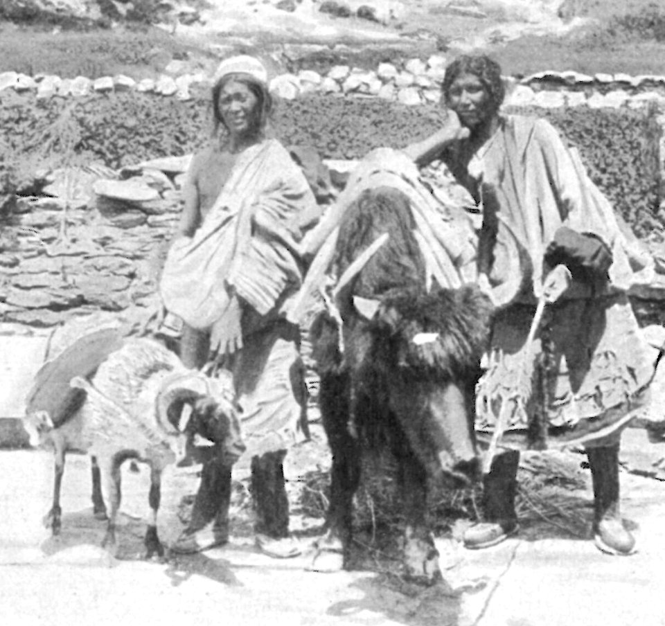 Kurt boeck indien nepal 294 (cropped)