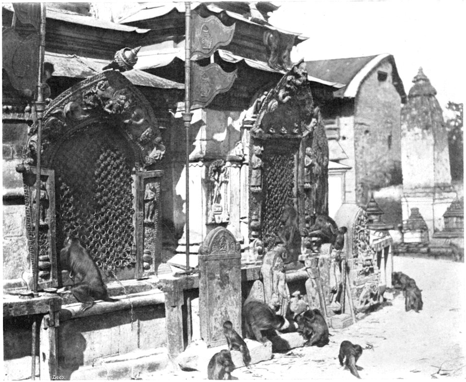Kurt boeck indien nepal 304A