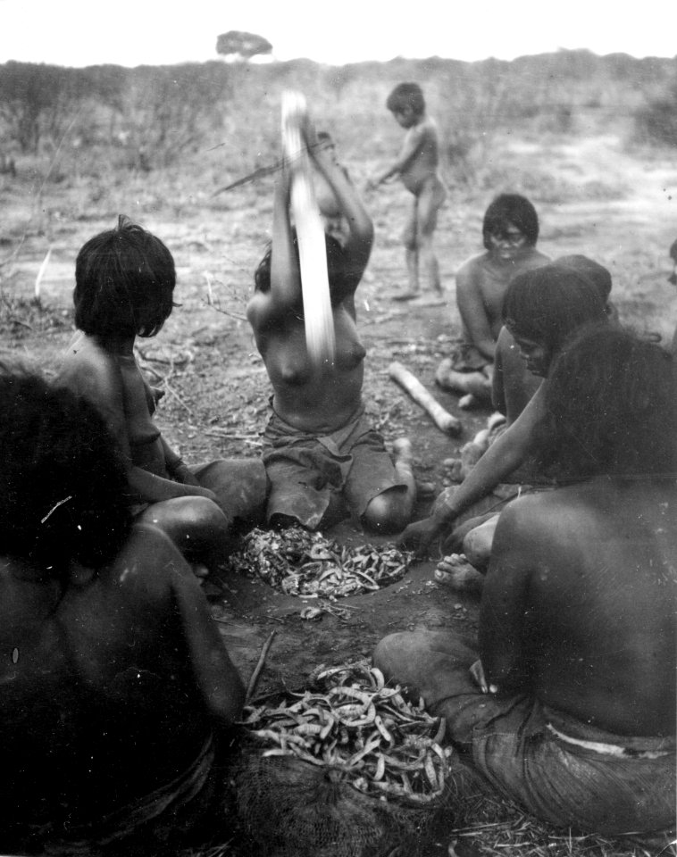 Kvinna krossar algarrobofrukter i en grop i marken. 2 fotos. Rio Pilcomayo, Bolivianska Chaco - SMVK - 004722