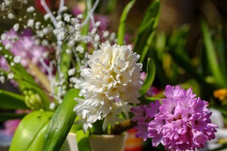 Flowers spring decoration