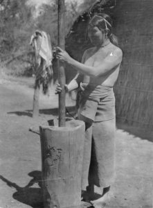 Kvinna stöter majs i mortel. Lokal, Rio Parapiti, Bolivia. Stam, Chané. Rio Parapeti, Rio Parapiti - SMVK - 004978 photo