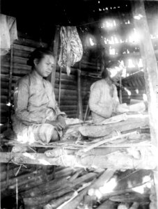 Kvinnor som bultar basttyg. Sulawesi. Indonesien - SMVK - 010853